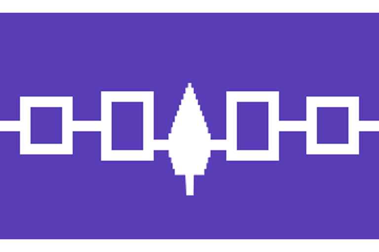 Flag of the Iroquois confederacy