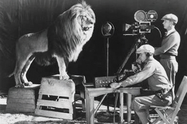 A lion stands on a box looking at a camera, there are two camera men. 