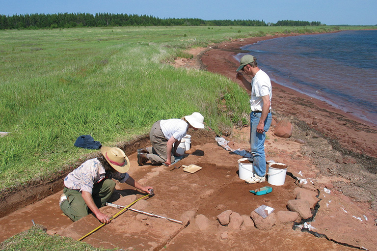 Coastline with a chuck of grass removed and people bent over on their knees in the dirt.