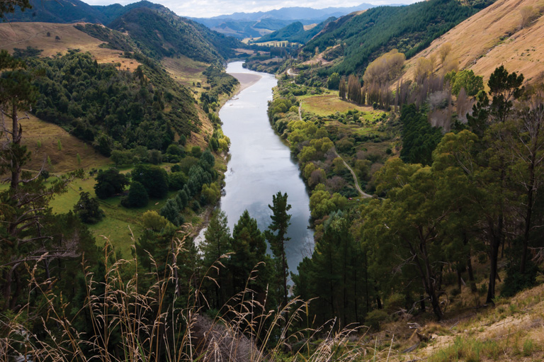 Whanganui River