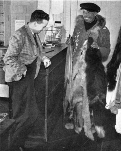 A black and white photo of a man in a parka showing a pair of furs to a man standing beside a store counter.