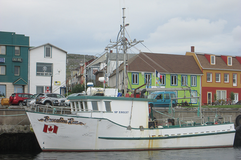 This image shows a white and green boat anchored in a harbour.