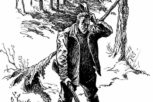 Illustration of a man in the woods holding a rifle.