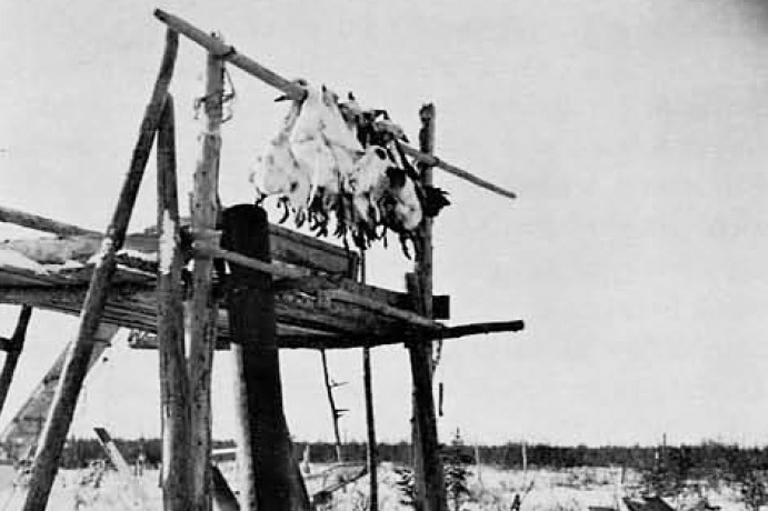 Black and white photo of geese hanging at the top of roughly-made wooden scaffolding.