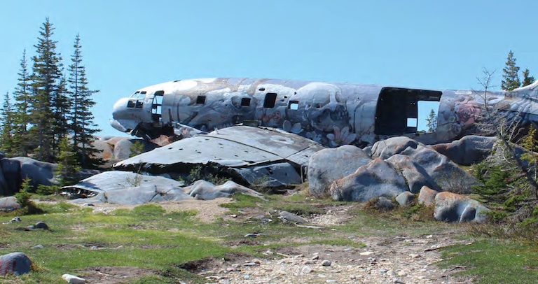 An abandoned plane sits on a grassy mound. It is painted with a mural.