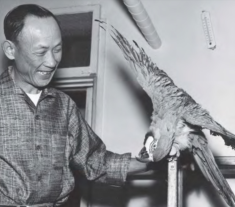 Black and white photo of Yue Wah Wong with Louis the Parrot on his arm.