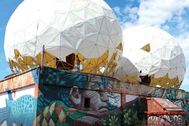 A mural on an old industrial building shows a person's face surrounded by nature and plants. There are two geodesic domes covered in white material on top of the building.